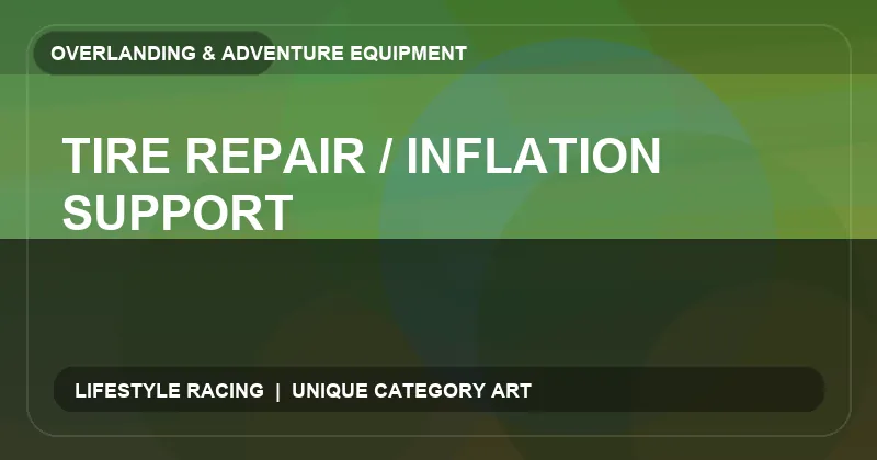 Tire Repair / Inflation Support